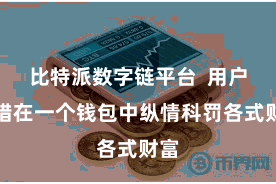 比特派数字链平台 用户不错在一个钱包中纵情科罚各式财富