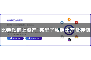 比特派链上资产 完毕了私钥土产货存储