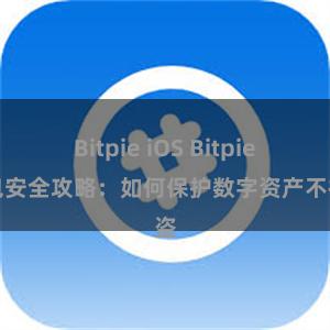 Bitpie iOS Bitpie钱包安全攻略：如何保护数字资产不被盗