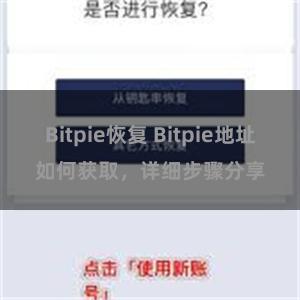 Bitpie恢复 Bitpie地址如何获取，详细步骤分享
