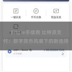 Bitpie手续费 比特派支付：数字货币风潮下的新选择
