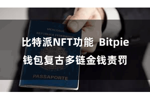 比特派NFT功能  Bitpie钱包复古多链金钱责罚
