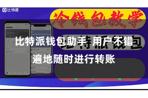 比特派钱包助手  用户不错遍地随时进行转账