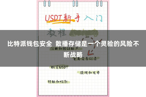 比特派钱包安全  散播存储是一个灵验的风险不断战略