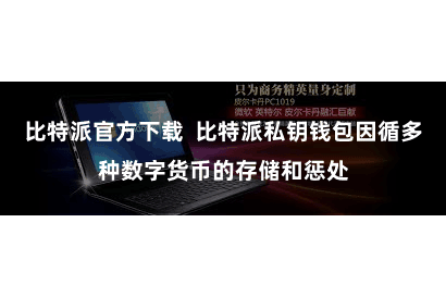 比特派官方下载  比特派私钥钱包因循多种数字货币的存储和惩处